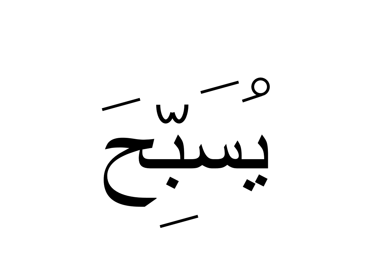 یسبح